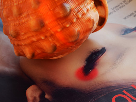 beautiful abstract background. Seashell background for a magazine. high quality photoの写真素材