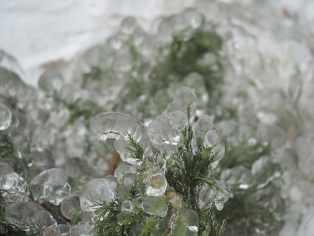 Freezing rain in winter. Anomalous natural phenomena. high quality photo