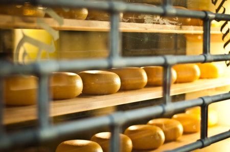 Cheese shop in Amsterdam