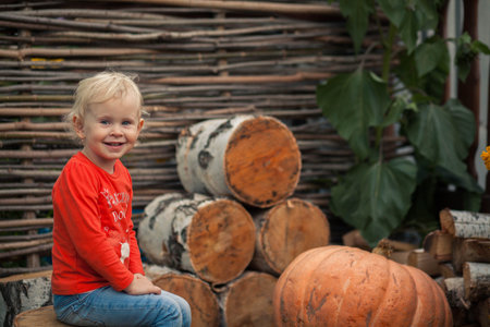 Girl sitting on a stump in the background of birch stumps and sunflowerの写真素材