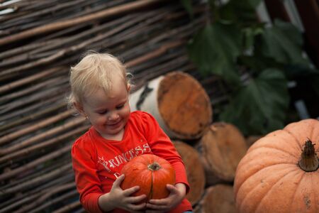 A girl holds a pumpkin .berezy. rural landscapeの写真素材