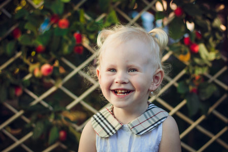 portrait of a little girl with pigtails. emotions. smile. apples.