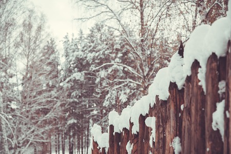 snow fence on the forest background. Winter landscapeの写真素材