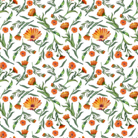 Seamless pattern with orange flowers and green calendula leaves on a white background, hand-painted in watercolor. Suitable for printing textile design, scrapbooking, wallpaper and paper.の写真素材