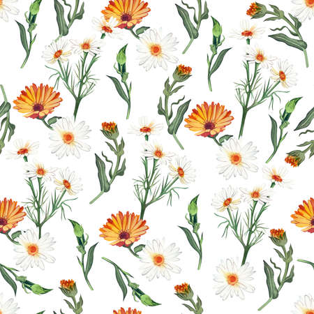 Seamless pattern with chamomile flowers and orange calendula flowers on a white background hand-painted in watercolor. Perfect for printing design, textiles, postcards and decor.の写真素材
