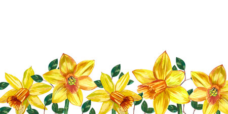 Flower arrangement of yellow daffodils and green twigs, hand-painted in watercolor on a white background.の写真素材