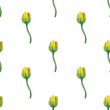 Seamless pattern of yellow watercolor tulips hand-painted in watercolor on a white background. Suitable for textile design, wallpaper, scrapbooking and creativity.の写真素材