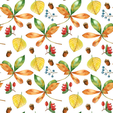 Seamless pattern of watercolor autumn leaves on a white background. Birch, chestnut, elm leaves hand-painted in watercolor on a white background. Suitable for printing on fabric, paper, invitationsの写真素材
