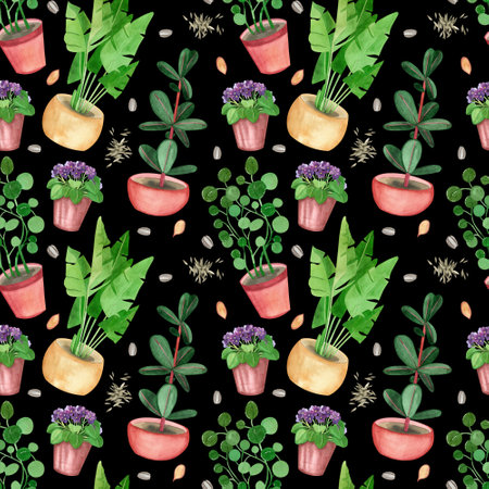 Seamless pattern of indoor plants: ficus, palm, violet, potted money tree hand-painted in watercolor on a black background. Suitable for printing on fabric, design, scrapbooking, booksの写真素材