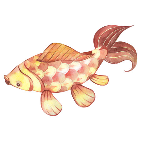 Chinese carp are red and yellow in color with fins and large scales. Fish painted in watercolor. Suitable for printing on fabric and paper, for cards and invitations. For Chinese New Year.の写真素材
