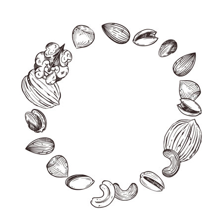 Vector illustration of nuts, walnuts, pistachios, almonds, hazelnuts, cashews. All objects are hand-drawn in vector. For printing on nut packaging, for the design of departments in the store.のイラスト素材