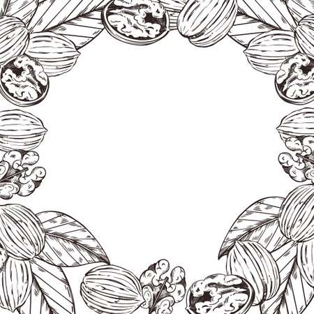 Square walnut frame, walnut tree leaves, nut without shell. All objects are hand-drawn in vector. The illustration is suitable for printing on fabric, paper, product packaging. Vector illustrationのイラスト素材