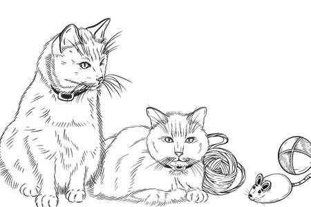 Vector composition with pets, siamese cats, ball of thread, ball and mouse for pets to play. All objects are hand-drawn with ink. For printing in veterinary clinics, for the design of pet products.のイラスト素材