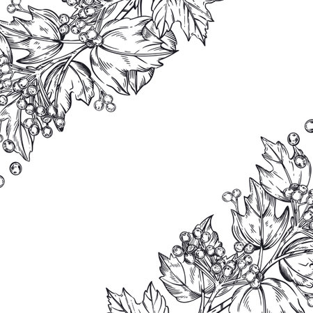 A square frame of viburnum branches with berries and leaves. All objects are hand-drawn in vector. The illustration is suitable for printing on packaging of goods, food, cosmetics, textiles.のイラスト素材