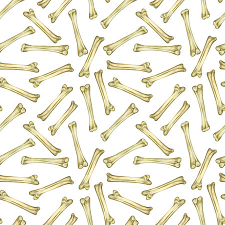Seamless watercolor pattern of chicken bones for divination, magical rituals, sessions. All objects are hand-painted in watercolor. For printing on paper, fabric, card design.の写真素材