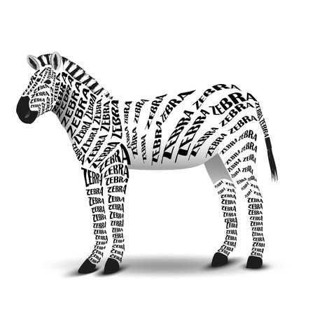Zebra with text on a path on a white background.のイラスト素材