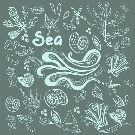 Decorative pattern sea waves with shells and algaeのイラスト素材