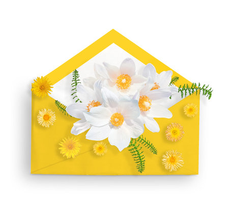 White snowdrops in yellow envelope and yellow small flowers. Flat lay. Top view. Spring card