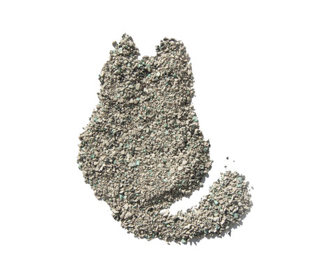 Fresh Cat Sand as Cat shape isolated on white background. Litter for cat. Pet care.の写真素材