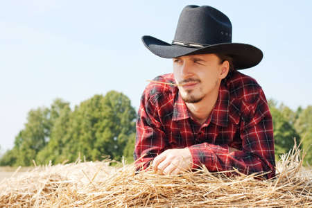 Cowboy in the Hayの写真素材
