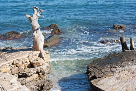 Adriatic coast landscape near Bari, Italyの写真素材