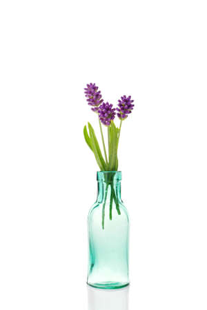 Lavender flowers in a vase on white backgroundの写真素材