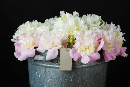 the bunch of peonies with gift card in a metal bucket on blackの写真素材