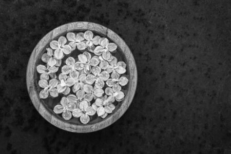 Black and white photo fine art of floating lilac flowers in a bowl of water on a rusty background. Top viewの写真素材