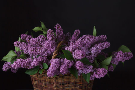 Wicker basket with a bouquet of purple lilac flowers on a black background. Floristic concept.