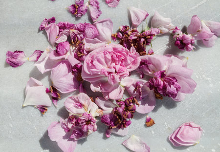 dry roses on a marble background. flat lay, minimal concept