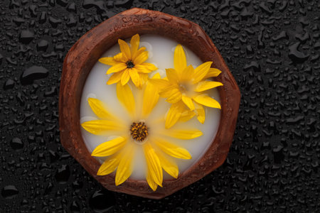 Yellow flowers floating in a bowl of milk on a wet black background. Minimalism concept. Spa concept
