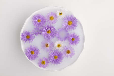 Aster flowers in a white bowl with milk on white background. Top view. Spa conceptの写真素材