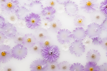 Composition of floating aster flowers in milk. floral background. top view