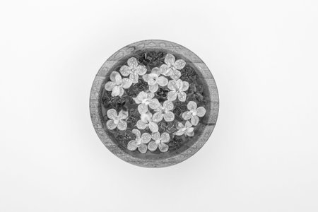 Black and white photo fine art of floating lilac flowers in a bowl of water on a white background. top viewの写真素材