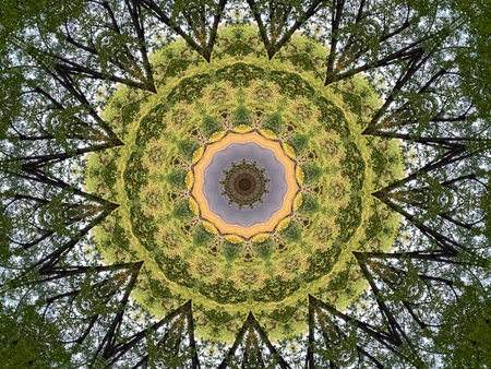 Abstract natural kaleidoscopic background. Unique design.の写真素材