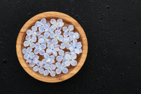 Floating lilac flowers in a bowl of water on a black background. top viewの写真素材