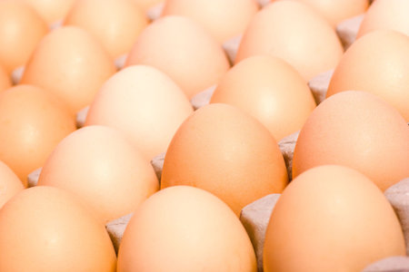 Abstract background made of lots brown chicken eggs