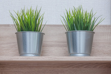 green grass house plants in pots on a wooden shelfの写真素材