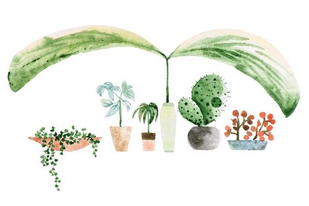 watercolor houseplant in a pot,isolated on a white.の写真素材