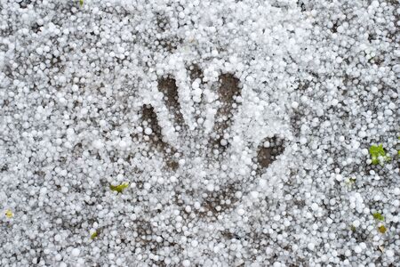 palm footprint on the ground strewn with hail. A strong thunderstorm with hailの写真素材