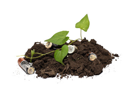 Used batteries in the ground, green tree sprout. White isolated