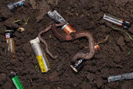Used batteries and earthworm in the ground.
