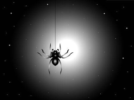 Illustration with the night sky, moon and spiderのイラスト素材