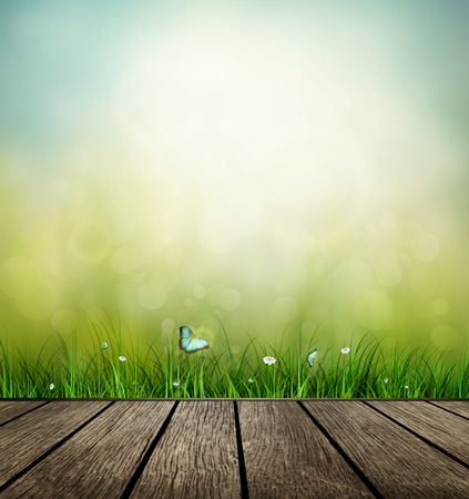 Summer Background With Wooden Floor, Grass, Flower And Butterflyのイラスト素材