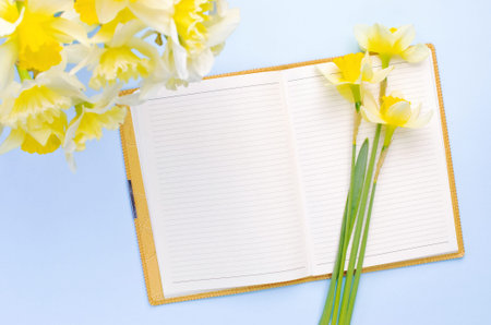 Empty Opened Notebook with Yellow Daffodils on Light Blue Background. Top view