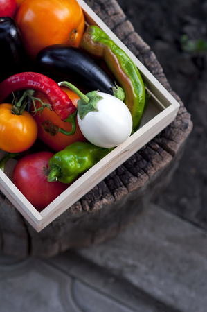 Fresh vegetables, tomatoes, peppers, aubergines, chilli pepper in a wooden box on a stump in the open air in the garden. Vegetable background.の写真素材