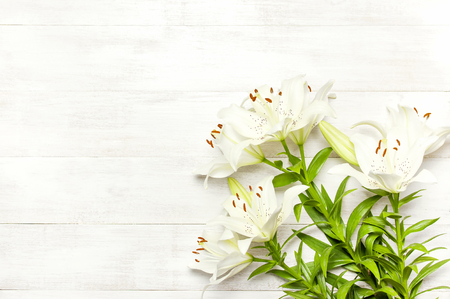 Bouquet of white lilies isolated on a white wooden background top view. Flowers lily beautiful bouquet white flowers floral background concept holidayの写真素材