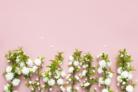 Beautiful gentle spring twigs with white flowers on a pink background top view flat lay with space for text. Greeting card with delicate flowers Pink floral background.の写真素材