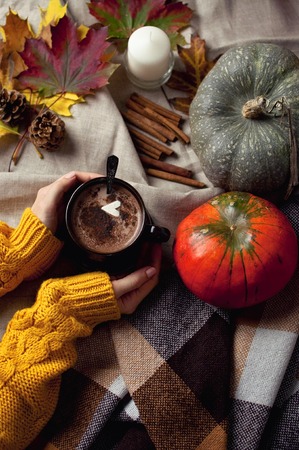Hot cocoa with marshmallow, cinnamon and pumpkin. Autumn fudfoto, lifestyle, hot delicious autumn drink. Cinnamon, maple leavesの写真素材