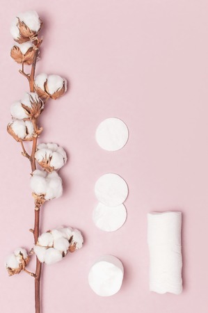 Spa concept. Flat lay background with branch of cotton plant, cotton pads. Cotton Cosmetic Makeup Removers Tampons. Hygienic sanitary swabs on pink background Top viewの写真素材